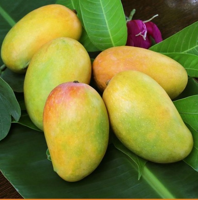 Kesar Mango